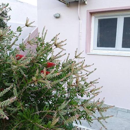 Andros Lighthouse Apartments Mesaria  外观 照片