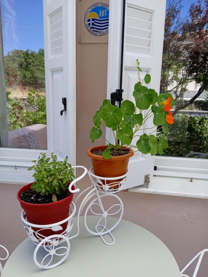 Andros Lighthouse Apartments Mesaria  外观 照片