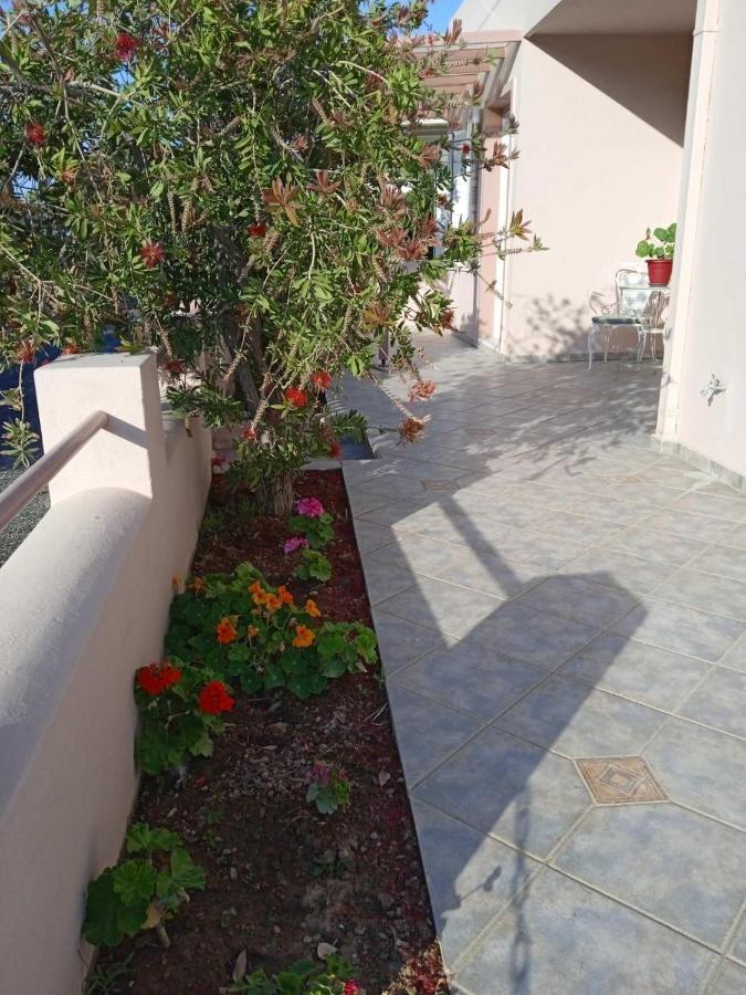 Andros Lighthouse Apartments Mesaria  外观 照片