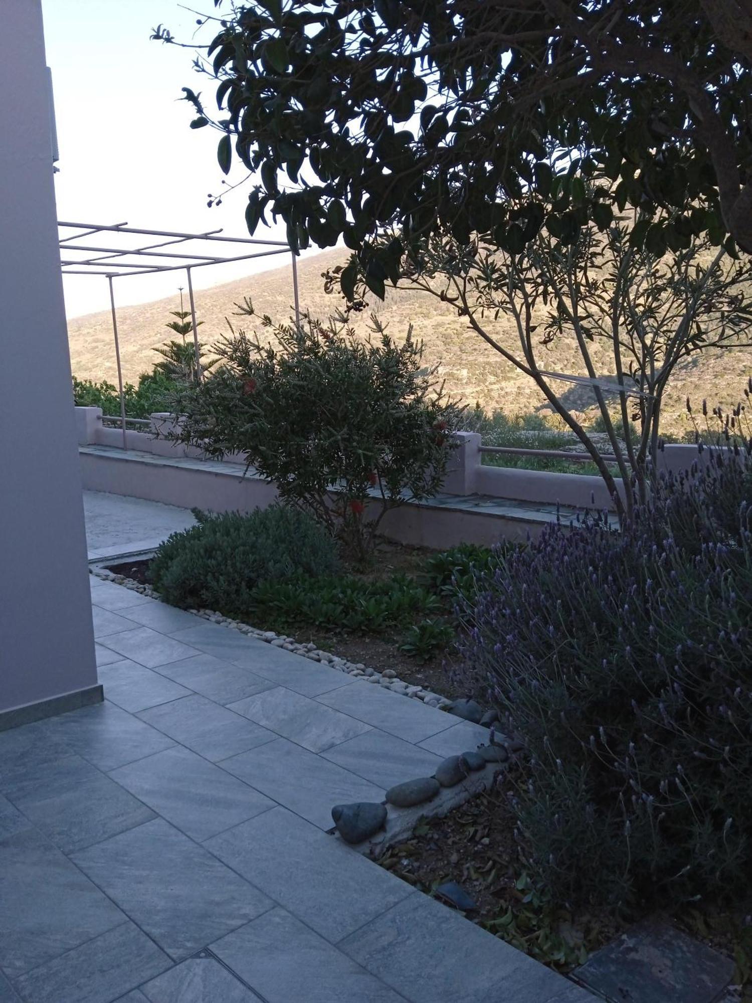 Andros Lighthouse Apartments Mesaria  外观 照片