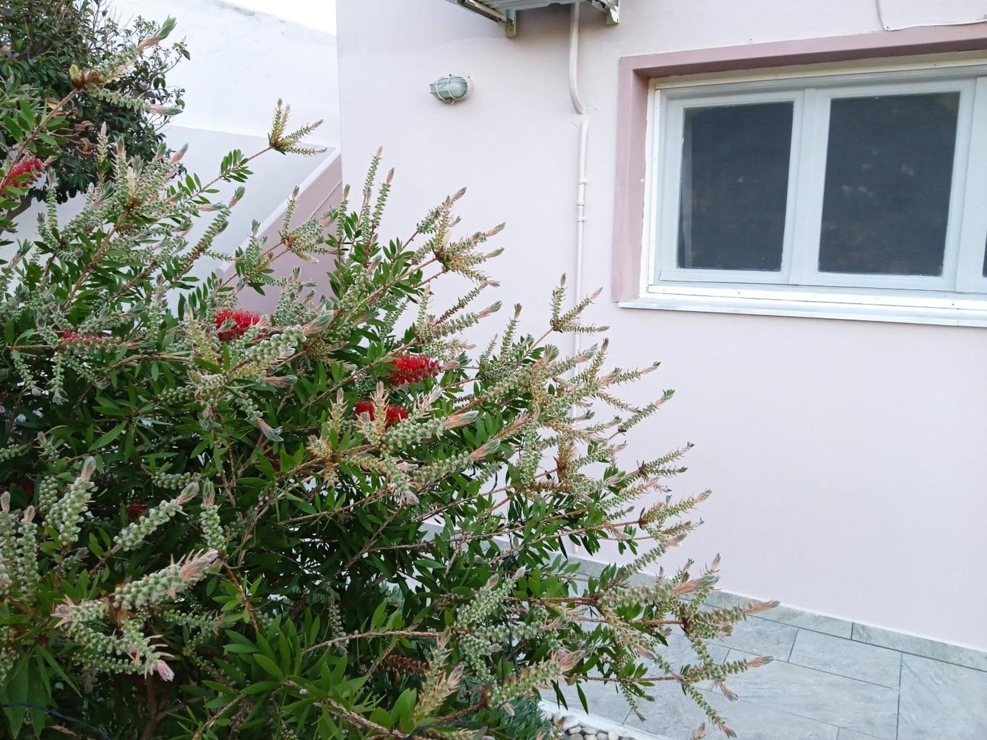 Andros Lighthouse Apartments Mesaria  外观 照片
